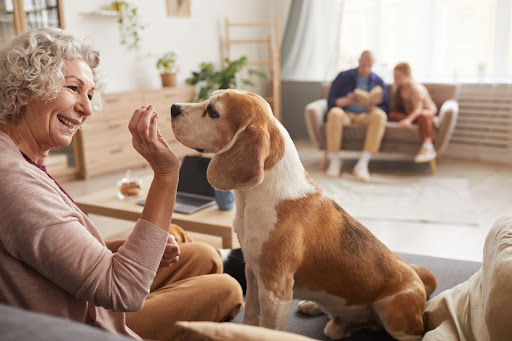 Senior woman playing with her dog.